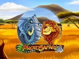 Photo Safari